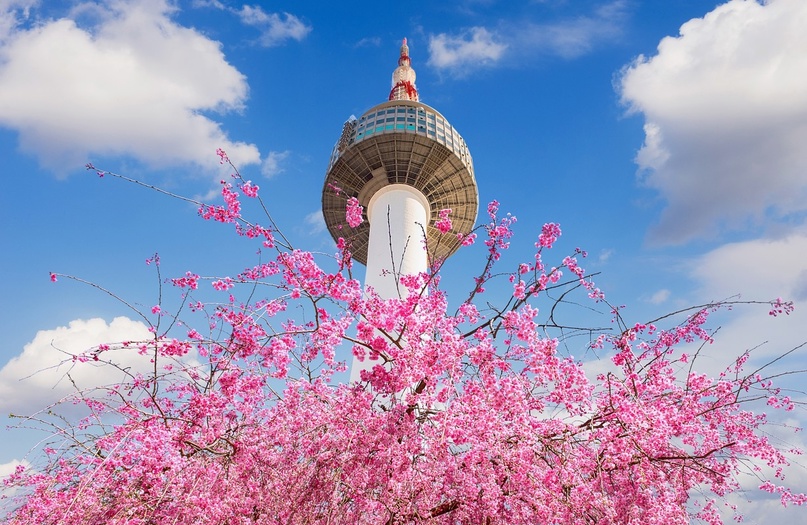 韩国留学生