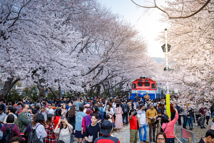 韩国长老会神学大学学费生活费多少钱
