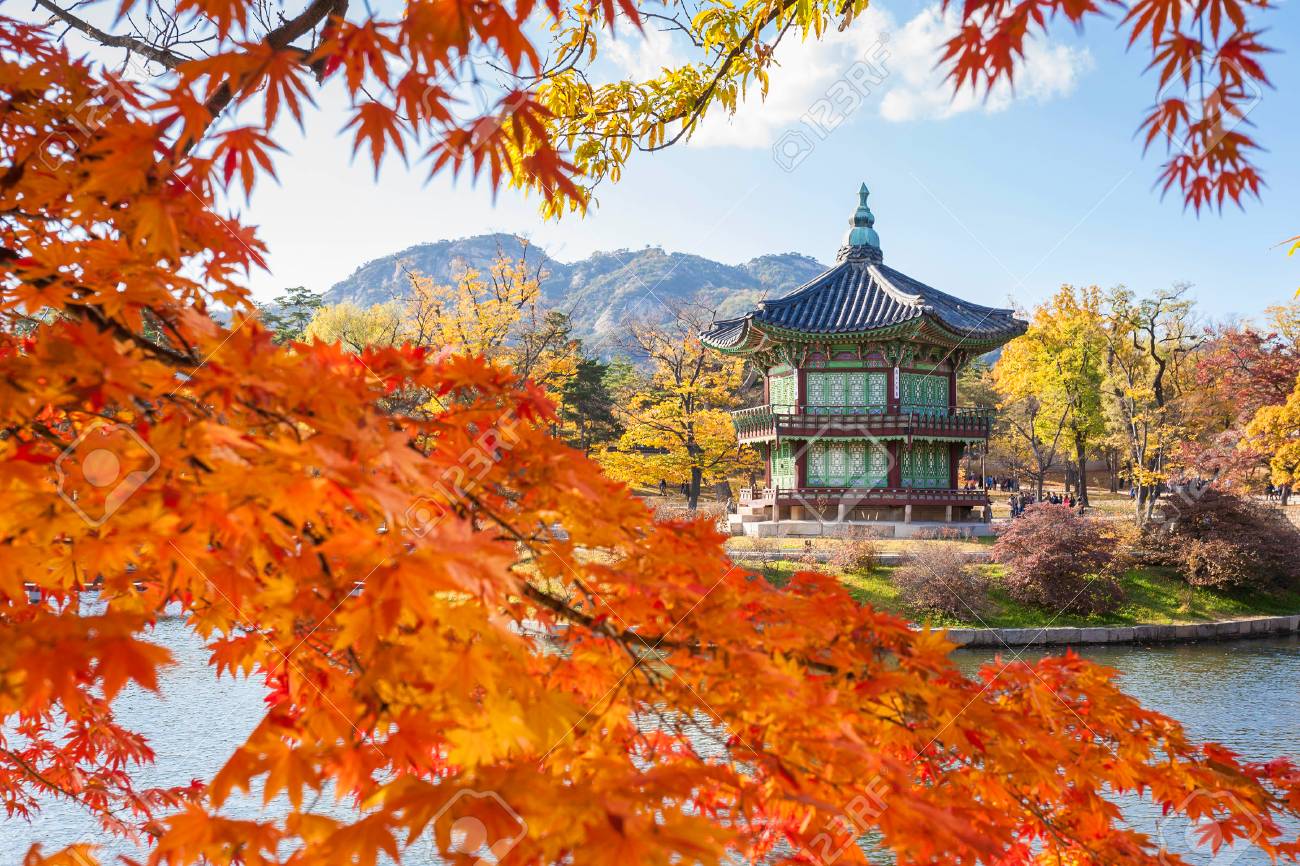 韩国明星收入