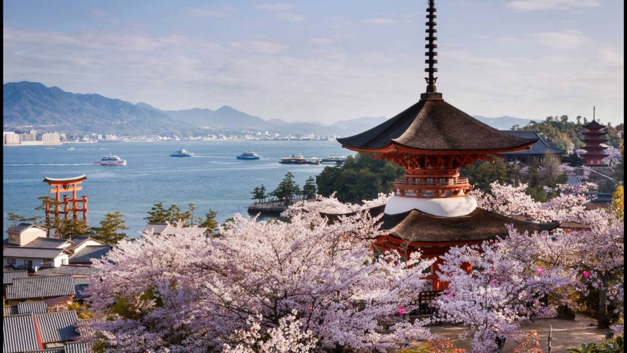 韩国抗疫