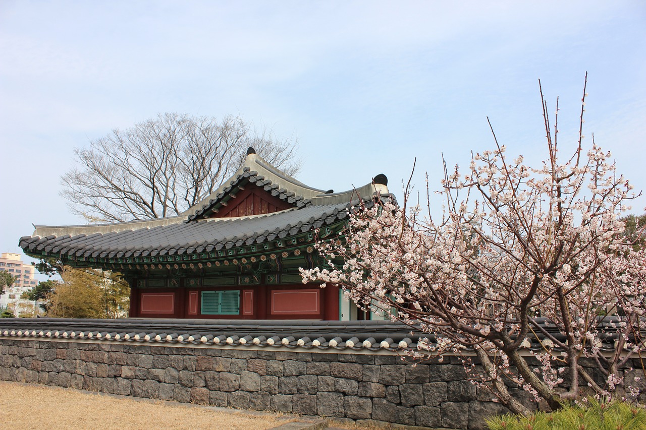 韩国票房最高的十部电影