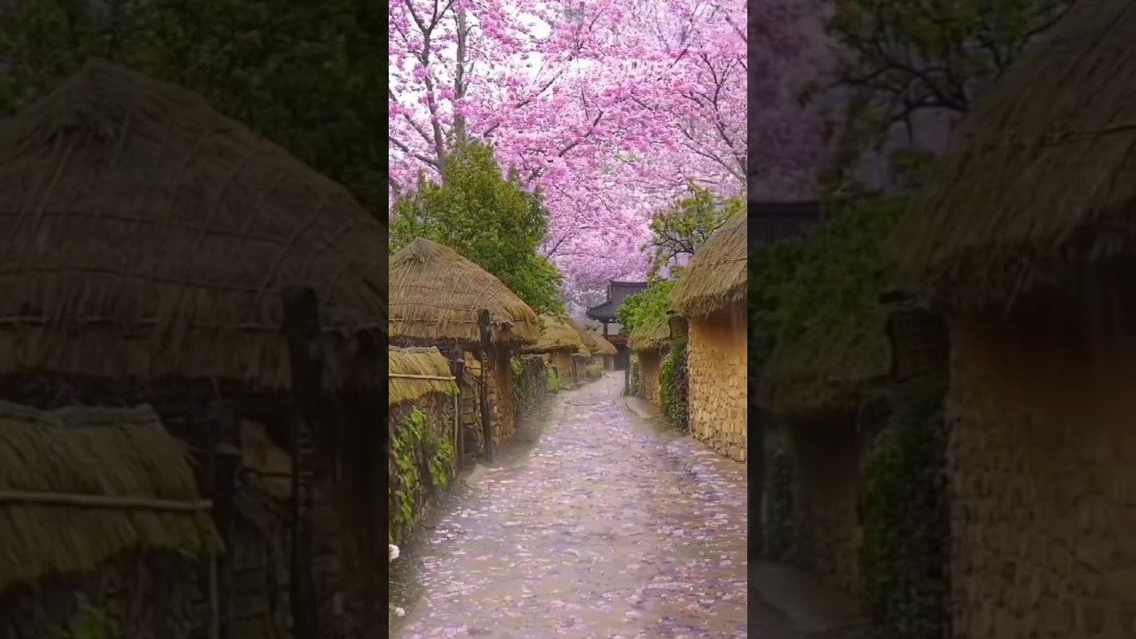 韩国旅游注意