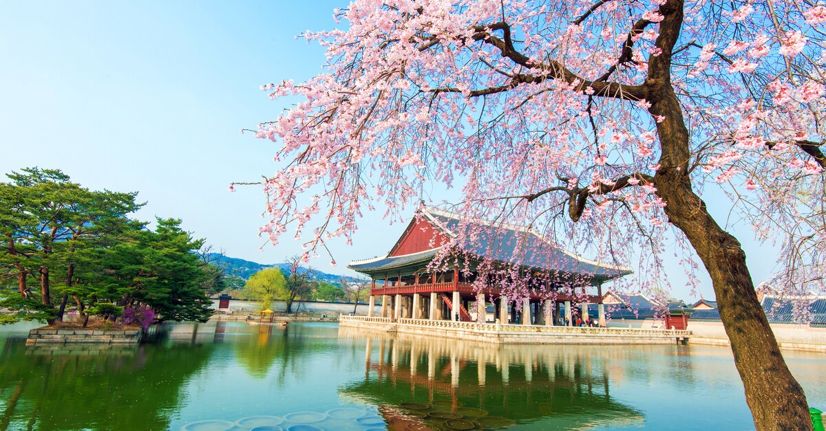 韩国又松情报大学学费生活费多少钱