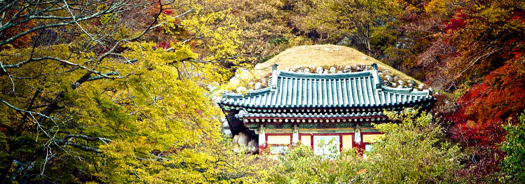 韩国美妞