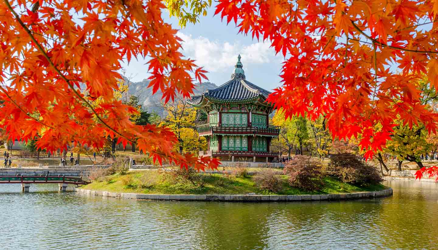韩国胶原蛋白哪种好