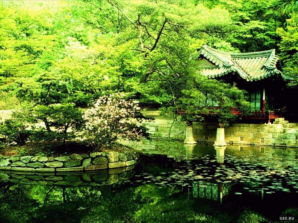 韩国明知专门大学相当于中国的什么大学