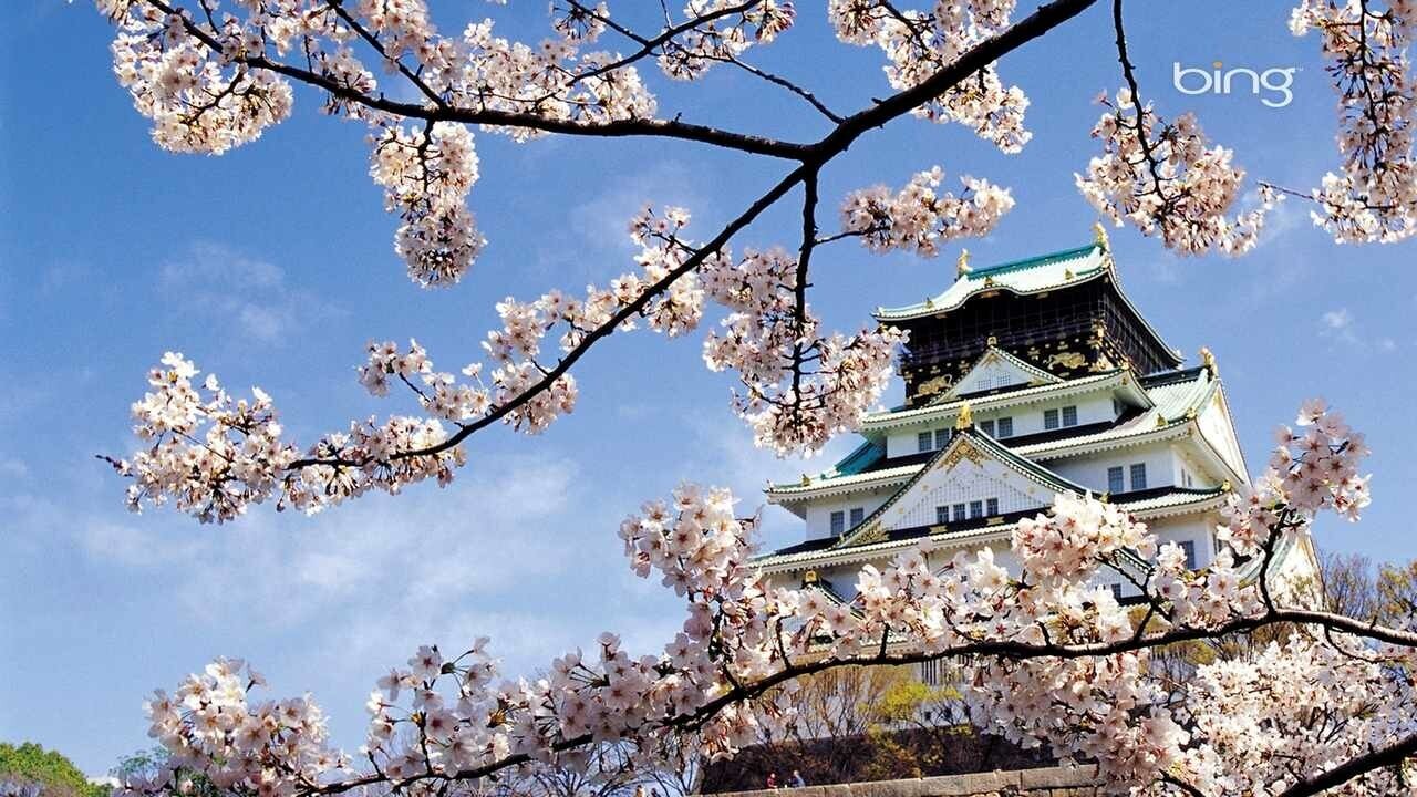 韩国金堤市有什么大学高校