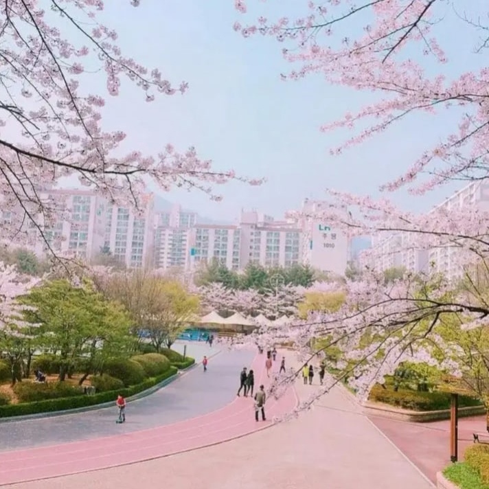 韩国飞机票查询