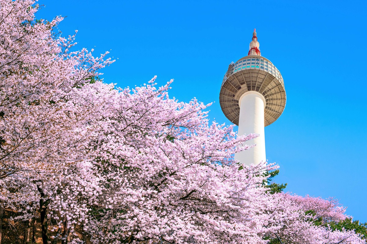韩国连续剧排名