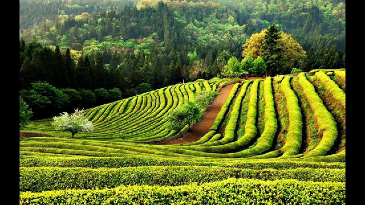 福布斯韩国富豪榜