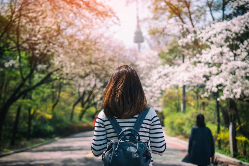 韩国新京大学学费生活费多少钱