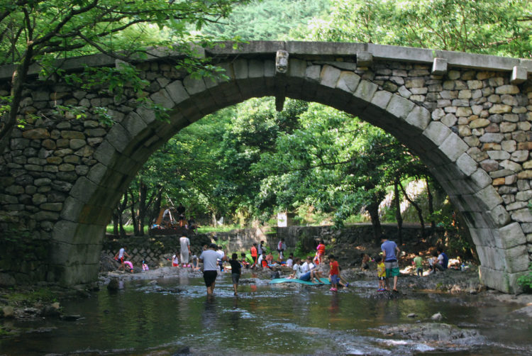 韩国大象集团