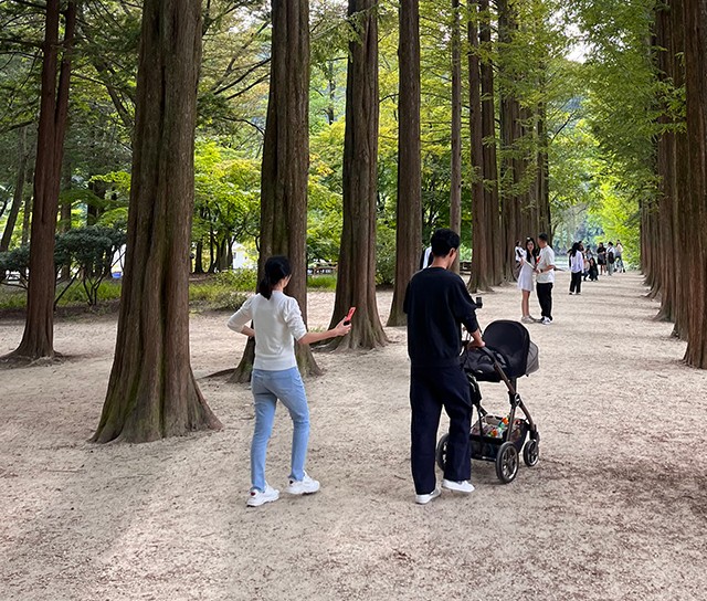 韩国济州岛的帅哥多吗