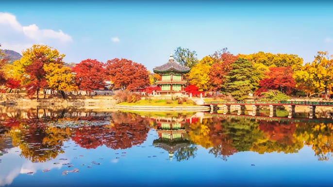 韩国明星婚礼