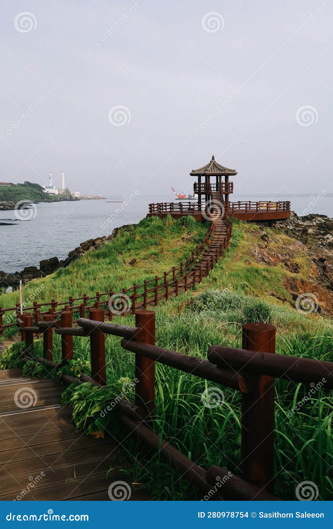 韩国炸酱面面条
