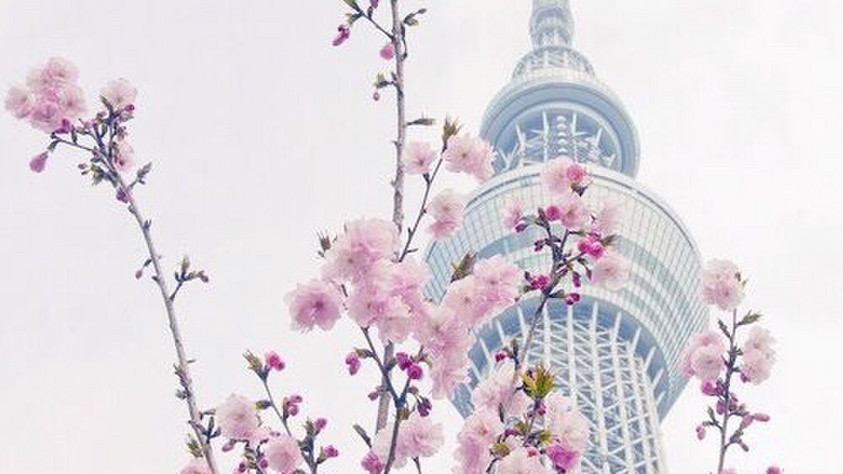 韩国铁板豆腐加盟